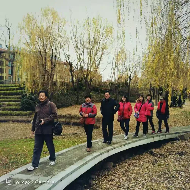 力争上游的球队，场上战术更上一层楼，谁能夺魁？的简单介绍