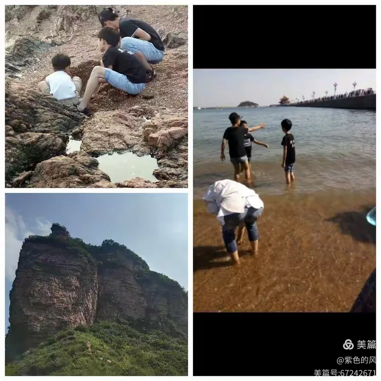 力争上游的球队，场上战术更上一层楼，谁能夺魁？的简单介绍